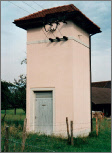 Wolfwilschluessel